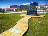 泰安天华矿业集团
