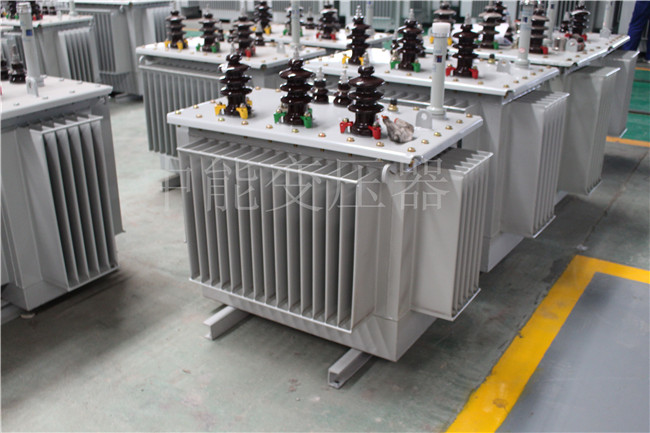 泰安S22-250KVA/10KV变压器